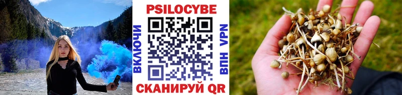 Галлюциногенные грибы прущие грибы  Невьянск 